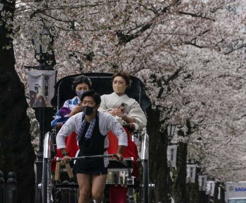 Prediksi Musim Bunga Sakura Tahun 2023: Kapan Dan Di Mana Bisa Melihat Bunga Sakura Di Seluruh Jepang